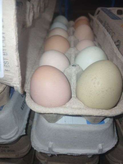 4 Doz Mixed Eating Eggs