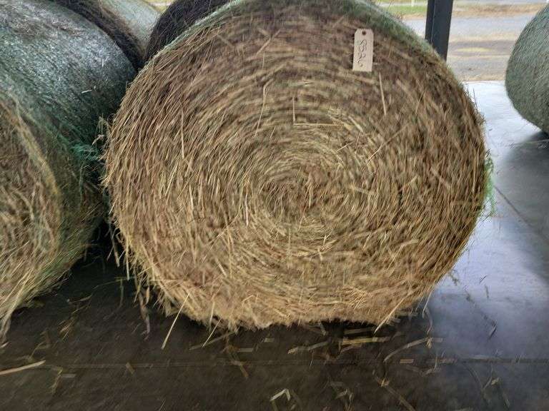 2 Round Bales 1st Timothy Orchard Grass (4x4) Stored Inside