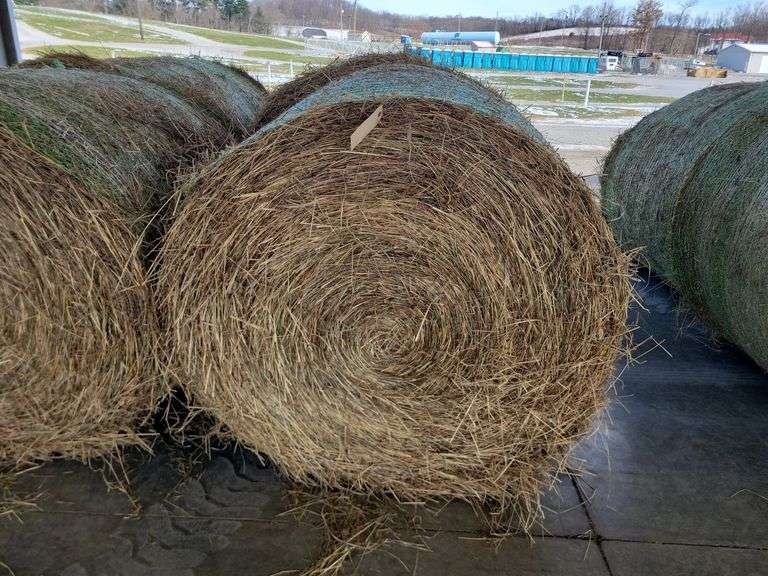 2 Round Bales 1st Tim Orch Grass Mix (4x4) Stored Inside