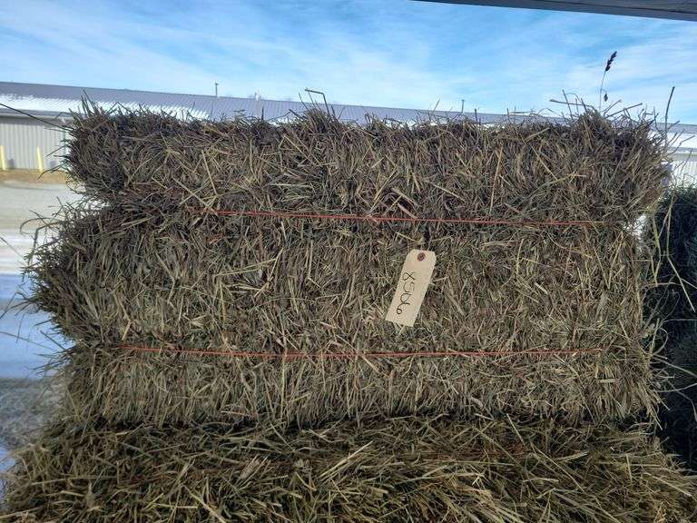 15 1st Timothy Orchard Grass Mix