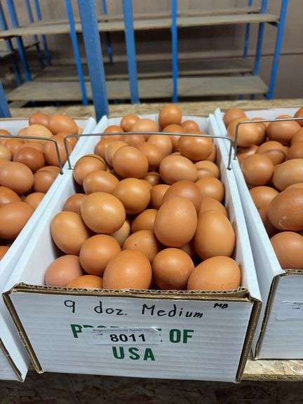 9 Doz Medium Brown Eating Eggs