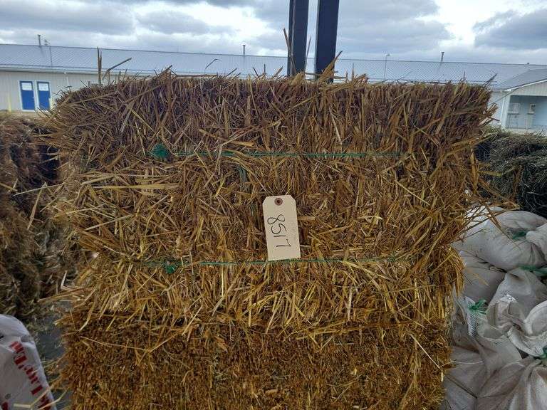 15 Oat Straw