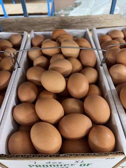 7 Doz Xlarge Brown Eating Eggs