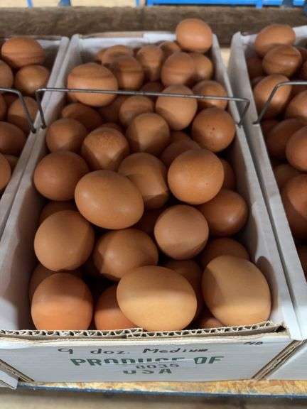 9 Doz Medium Brown Eating Eggs