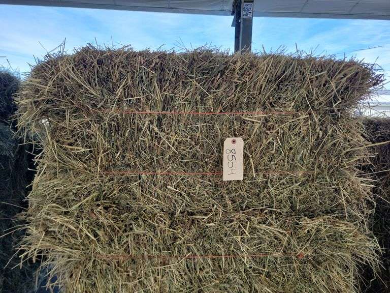 18 1st Orchard Grass Timothy