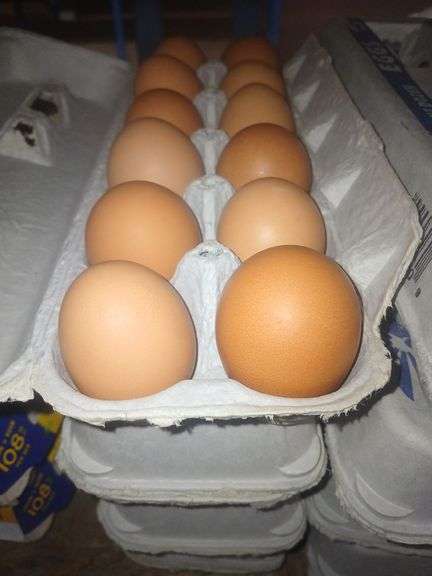 4 Doz Brown Medium Eating Eggs