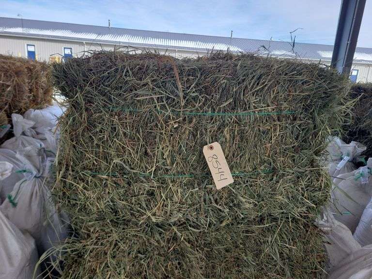 15 2nd Timothy Orchard