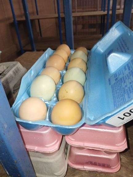 5 Doz Mixed Eating Eggs