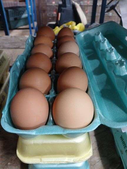 3 Doz Brown Eating Eggs