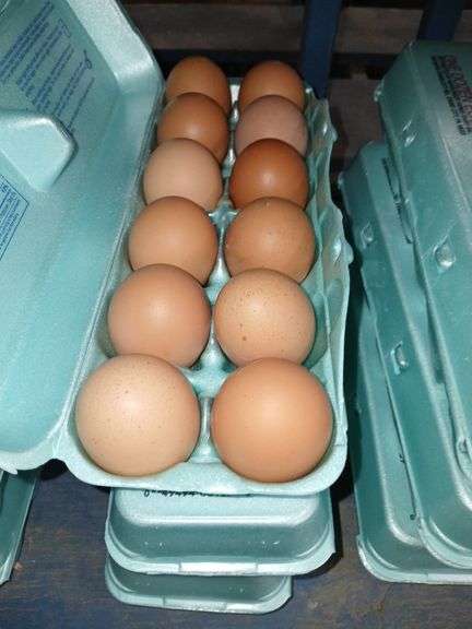 3 Doz XL Brown Eating Eggs