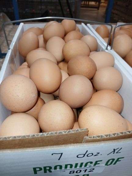 7 Doz Xlarge Brown Eating Eggs