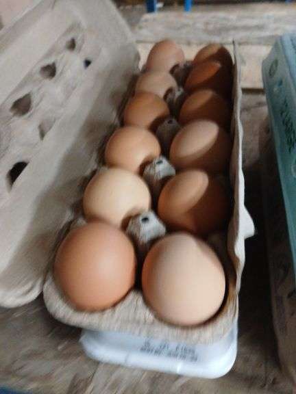 2 Doz Brown Eating Eggs