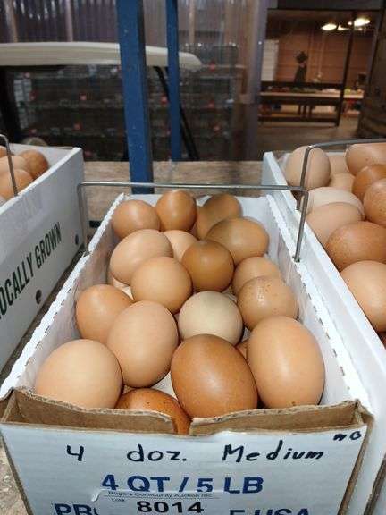 4 Doz Medium Brown Eating Eggs