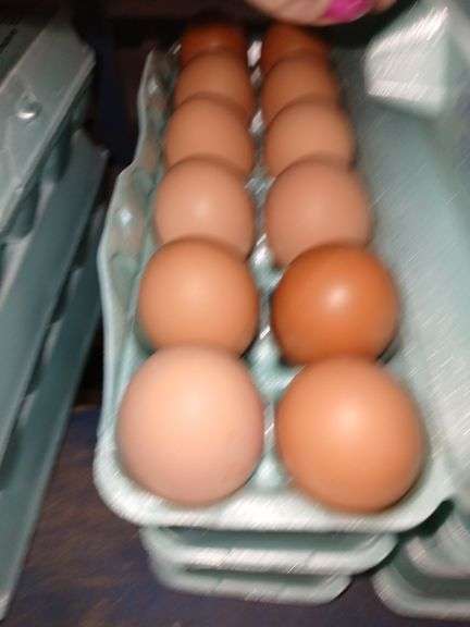 3 Doz XL Brown Eating Eggs