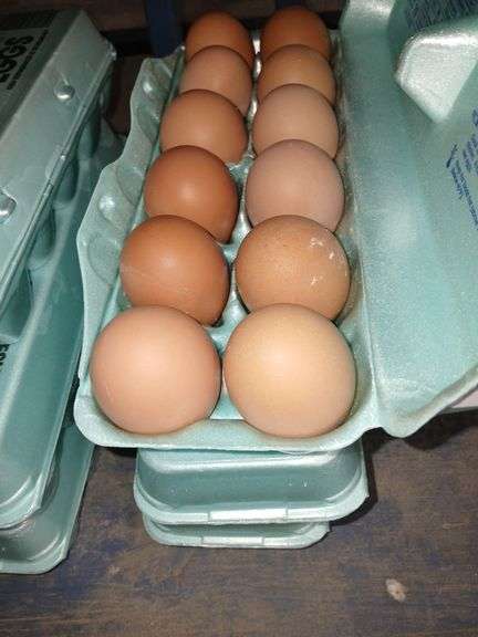 3 Doz XL Brown Eating Eggs