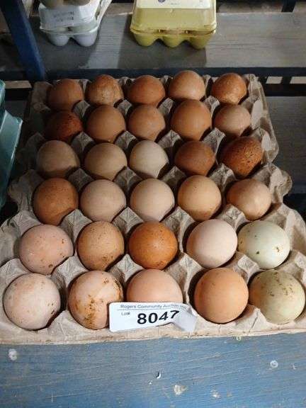 5 Doz Mixed Eating Eggs