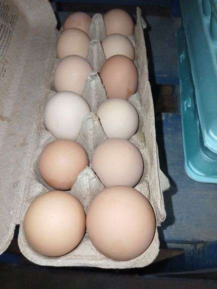 2 Doz Brown Eating Eggs