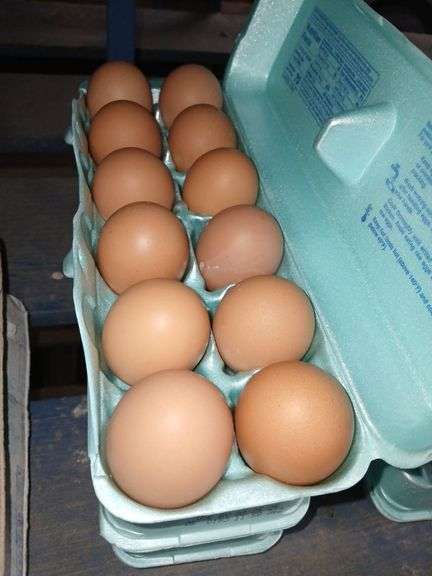 3 Doz XL Brown Eating Eggs