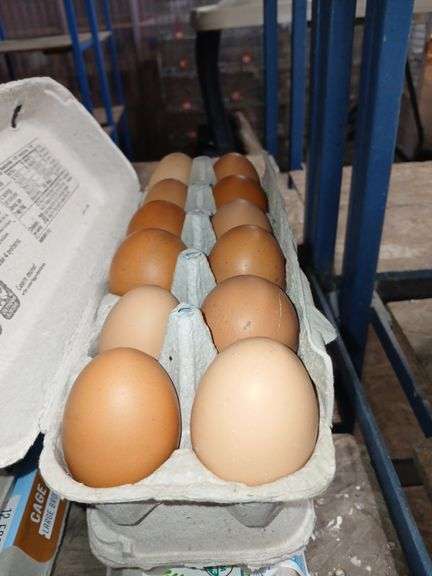 3 Doz Lg Brown Eating Eggs