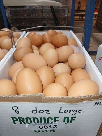 8 Doz Large Brown Eating Eggs