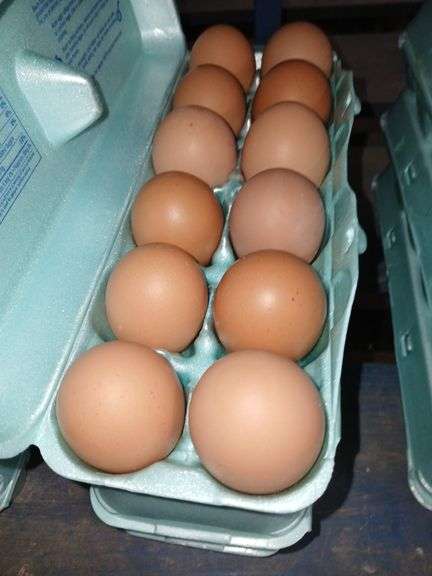 3 Doz XL Brown Eating Eggs