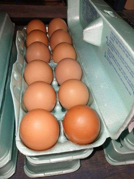 3 Doz XL Brown Eating Eggs