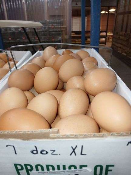 7 Doz Xlarge Brown Eating Eggs