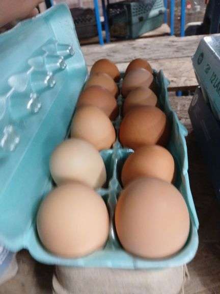 2 Doz Brown Eating Eggs