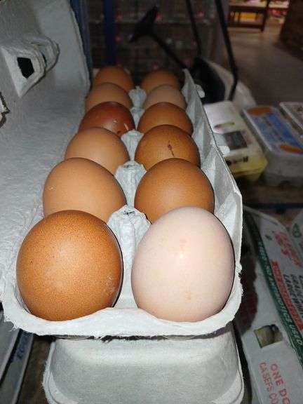 4 Doz Xlarge Brown Eating Eggs