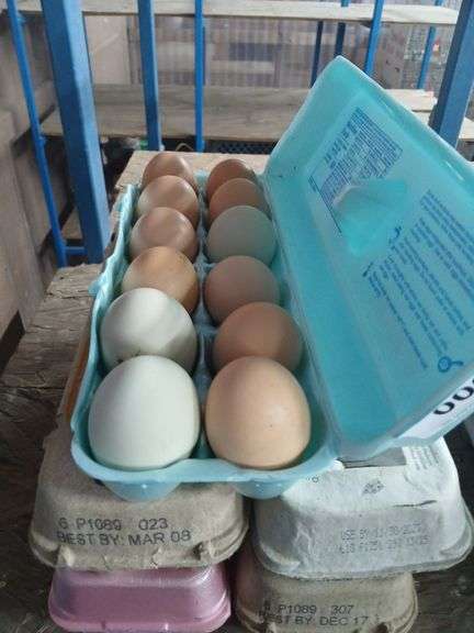 5 Doz Mixed Eating Eggs