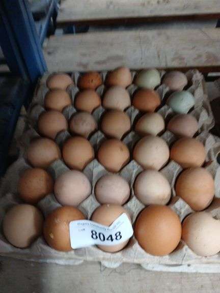 5 Doz Mixed Eating Eggs