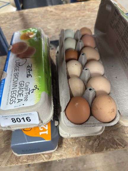 4 Doz Jumbo Brown Eating Eggs