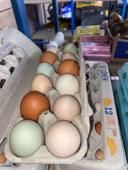 5 Doz Mixed Eating Eggs