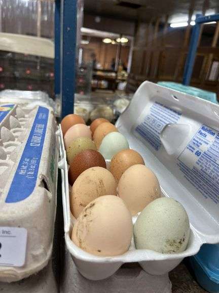 4 Doz Xlarge & Large Brown Eating Eggs