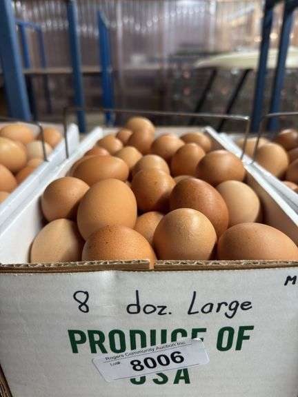 8 Doz Large Brown Eating Eggs