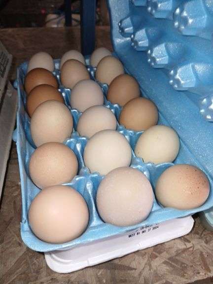 3 Doz Large Brown Eating Eggs