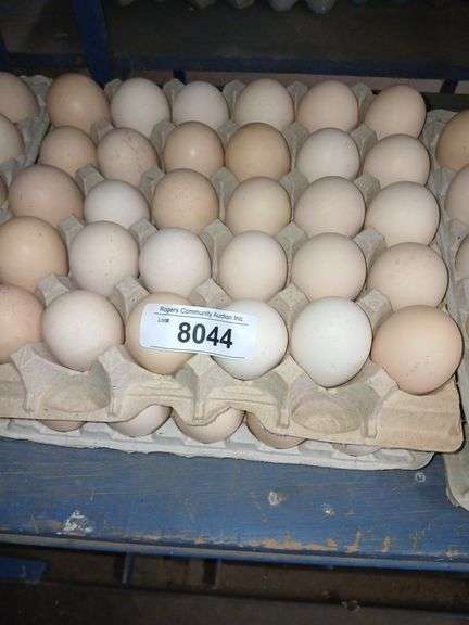 5 Doz Xlg Brown Eating Eggs