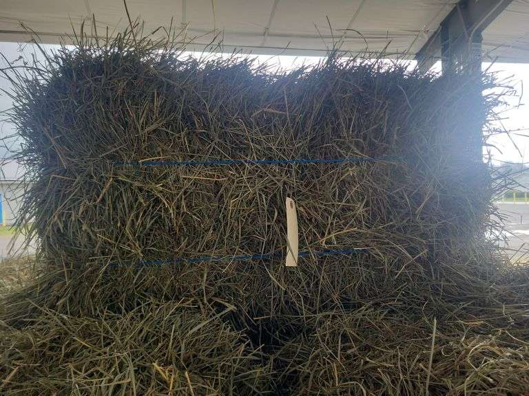 25 2nd Grass Alfalfa Mix