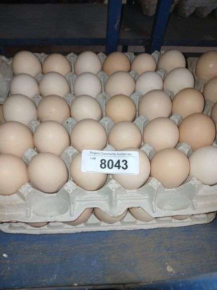 5 Doz Xlg Brown Eating Eggs