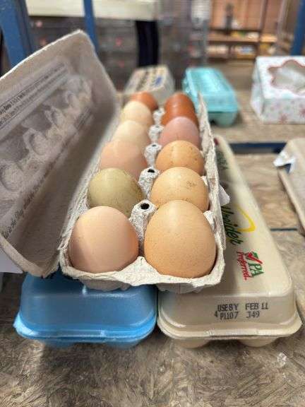 3 Doz Xlarge & Large Brown Eating Eggs