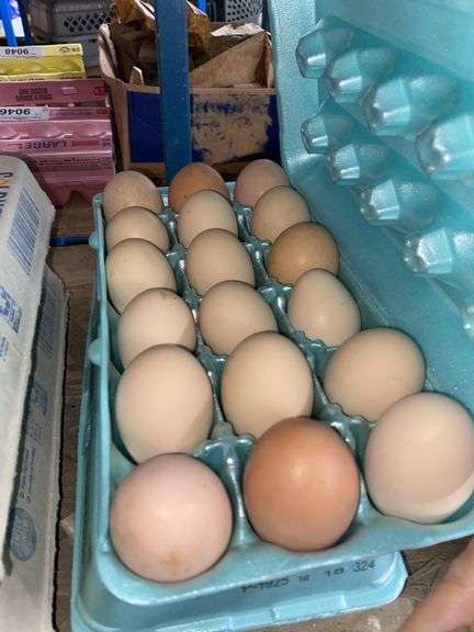 3 Doz Mixed Eating Eggs