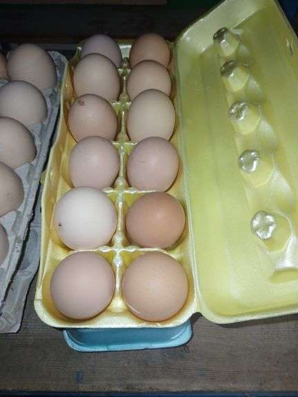 2 Doz Mixed Eating Eggs
