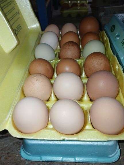 3 Doz Large Eating Eggs