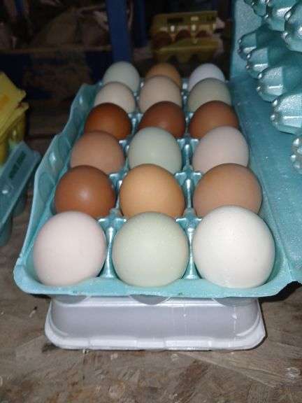 3 Doz Large Eating Eggs