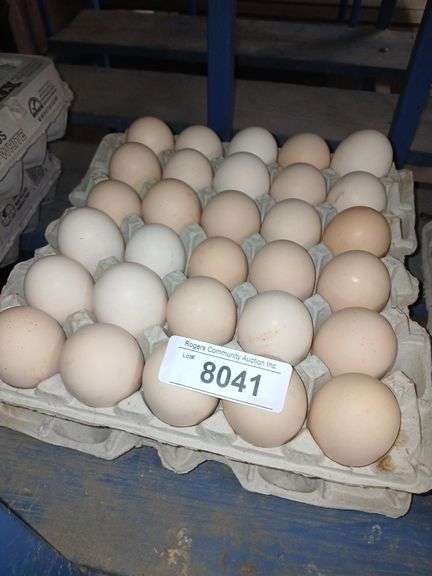 5 Doz Xlg Brown Eating Eggs