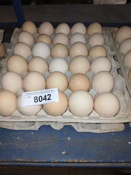 5 Doz Xlg Brown Eating Eggs