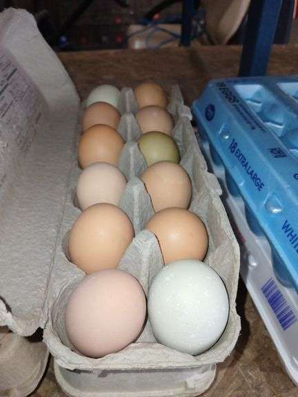 2 Doz Large Mixed Eating Eggs