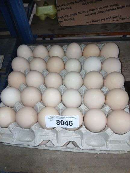 5 Doz Xlg Brown Eating Eggs