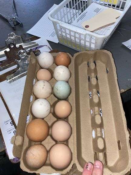 2 Doz Mixed Eating Eggs