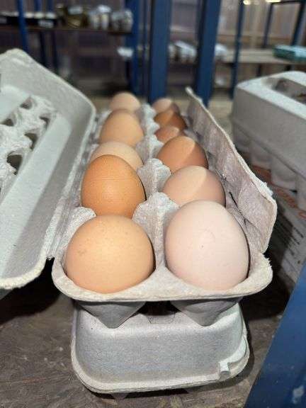 2 Doz Large Brown Eating Eggs